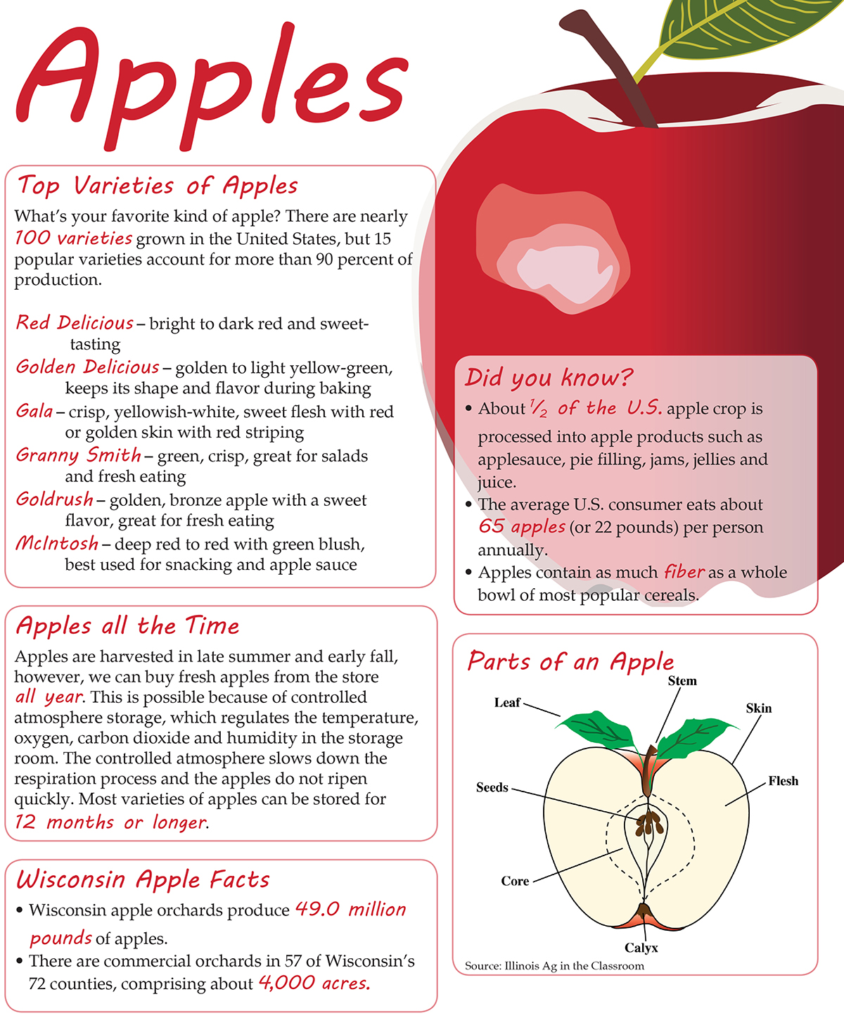 Apples