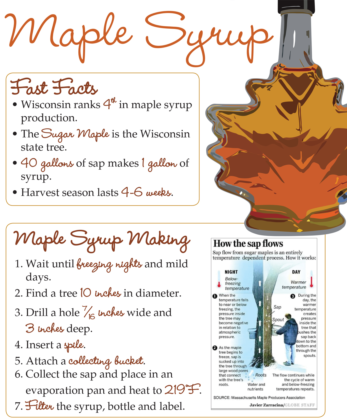 Maple Syrup