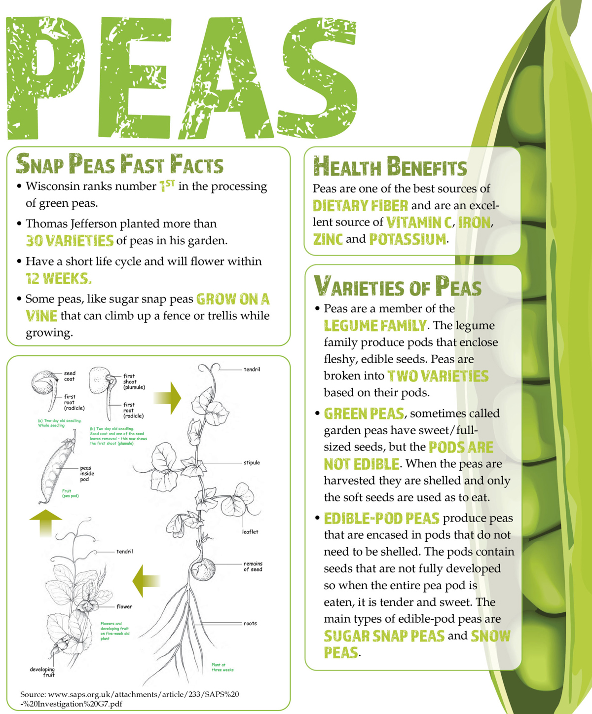 Peas